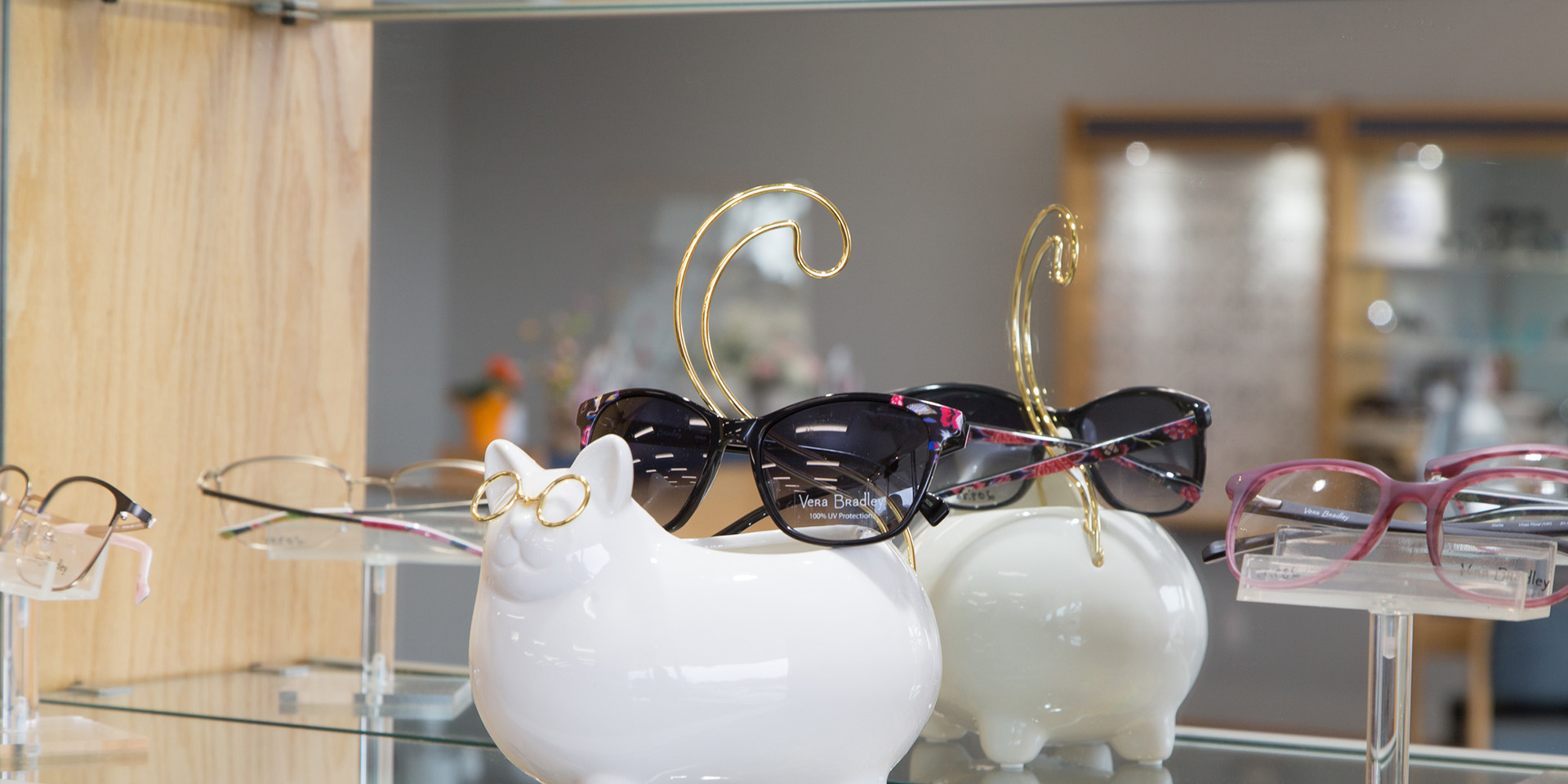 Optometry Office Waterbury